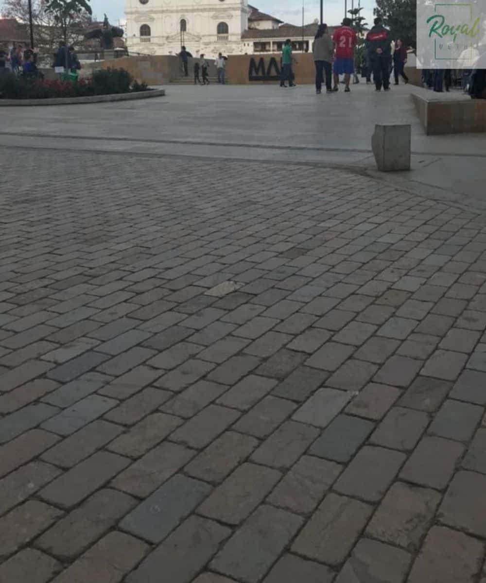 Adoquín Royal Veta (2) Adoquín Royal Veta