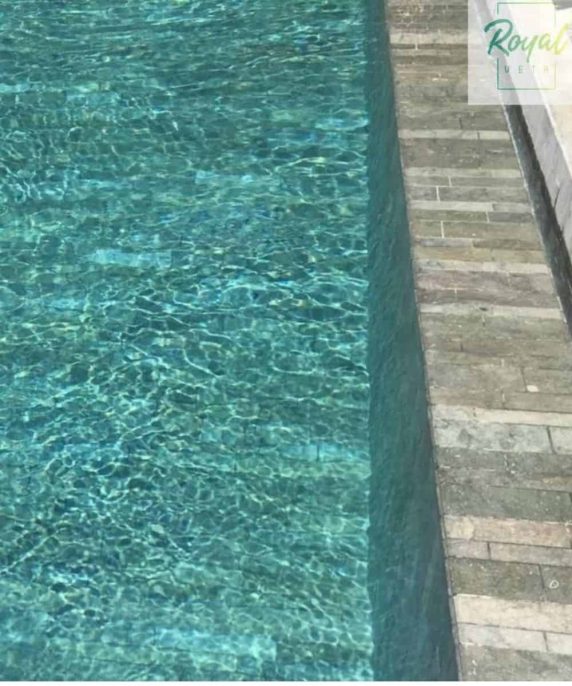 Rompeolas Royal Verde
